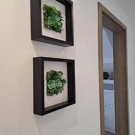 Family Apartment