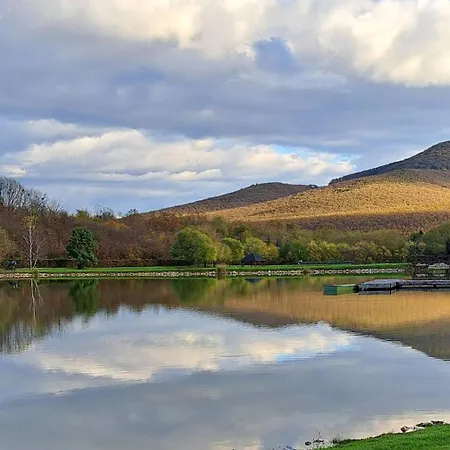 Family * Sátoraljaújhely